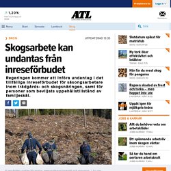 Nu kan skogsarbetare släppas in i Sverige