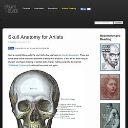 Skull Anatomy for Artists