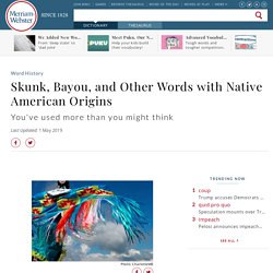 Skunk, Bayou, and Other Words with Native American Origins
