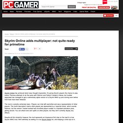Skyrim Online adds multiplayer: not quite ready for primetime