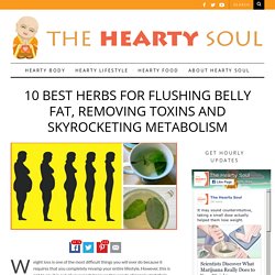 10 Best Herbs for Flushing Belly Fat, Removing Toxins and Skyrocketing Metabolism