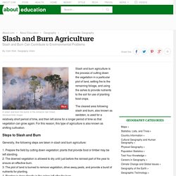 Slash and Burn Agriculture