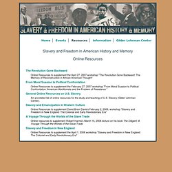Slavery and Freedom in American History and Memory