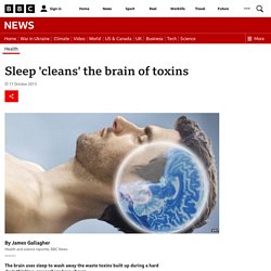 Sleep 'cleans' the brain of toxins