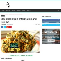 Sleestack Strain Information and Review