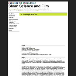 Sloan Science and Film / Short Films / Chasing Patterns