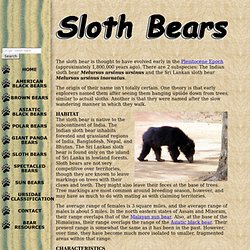 Sloth Bears - Bears Of The World
