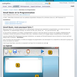 Small Basic et la Programmation