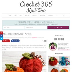 Small Crochet Pumpkin Pattern - Crochet 365 Knit Too