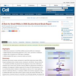 A Role for Small RNAs in DNA Double-Strand Break Repair