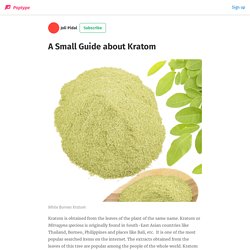 A Small Guide about Kratom - Joli Pidal