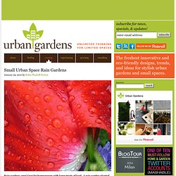 Small Urban Space Rain Gardens