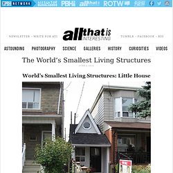 The World's Smallest Living Structures