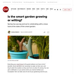 Is the smart garden growing or wilting?