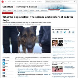 What the dog smelled: The science and mystery of cadaver dogs