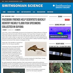 Facebook friends help scientists quickly identify nearly 5,000 fish specimens collected in Guyana  