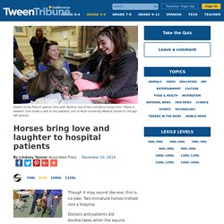 Horses bring love and laughter to hospital patients