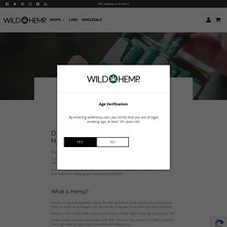 Can you Smoke Hemp?
