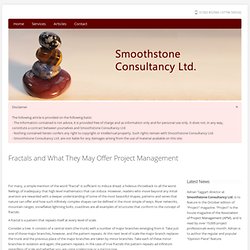 Fractals and What They May Offer Project Management - Smoothstone Consultancy