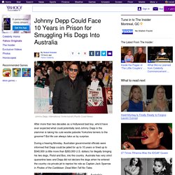Johnny Depp Could Face 10 Years in Prison for Smuggling His Dogs Into Australia