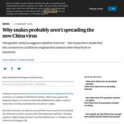 NATURE 23/01/20 Why snakes probably aren’t spreading the new China virus