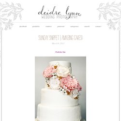 Amazing Cakes! & Deidre Lynn Photography Peoria Wedding Photographer