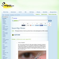 Insect Spy Drone