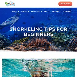 Snorkeling Tips For Beginners