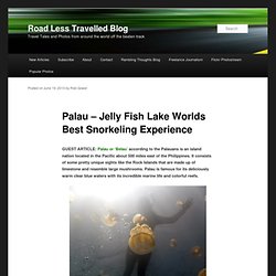 Palau – Jelly Fish Lake Worlds Best Snorkeling Experience — Road Less Travelled Blog