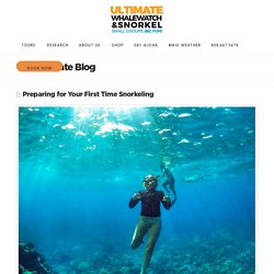 What to Know Before Snorkeling - Ultimate Whalewatch & Snorkel
