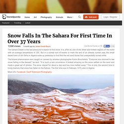 Snow Falls In The Sahara For First Time In Over 37 Years