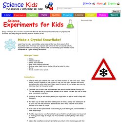 How to Make a Snowflake - Crystal Activity, Fun Science Experiments for Kids