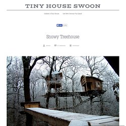 Snowy Treehouse