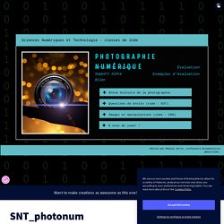 SNT_photonum