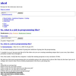 So, what is a job in programming like?