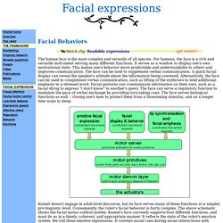 Sociable machines - Facial expressions