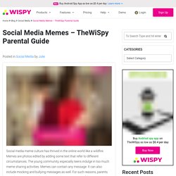 Social Media Memes - TheWiSpy Parental Guide