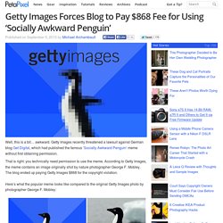 Getty Images Forces Blog to Pay $868 Fee for Using 'Socially Awkward Penguin'