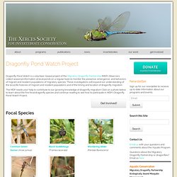 The Xerces Society » Dragonfly Pond Watch Project