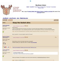 Keep the Socket alive (Beginning Java forum at JavaRanch)