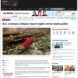 B.C. sockeye collapse report might not be made public - British Columbia