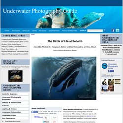 Underwater Photography Guide