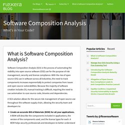 What is Software Composition Analysis?
