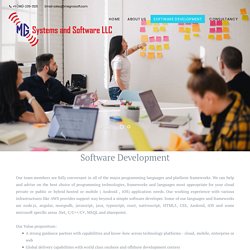 Software Development - Megnasoft