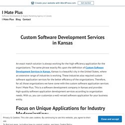 Custom Software Development Services in Kansas – I Mate Plus