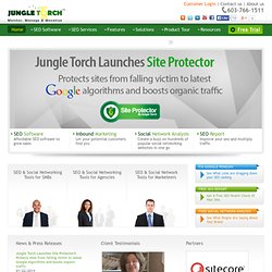 Monitor, Manage & Monetize - Jungle Torch LLC