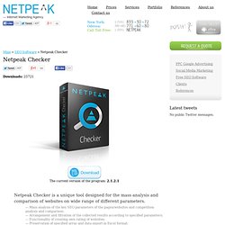 Netpeack Checker