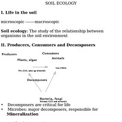 SOIL ECOLOGY