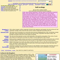 Soil ecology