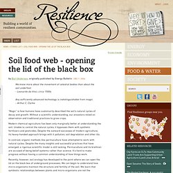 Soil food web - opening the lid of the black box